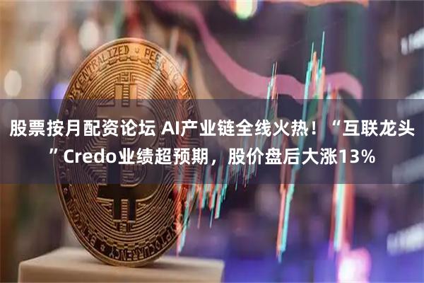 股票按月配资论坛 AI产业链全线火热！“互联龙头”Credo业绩超预期，股价盘后大涨13%