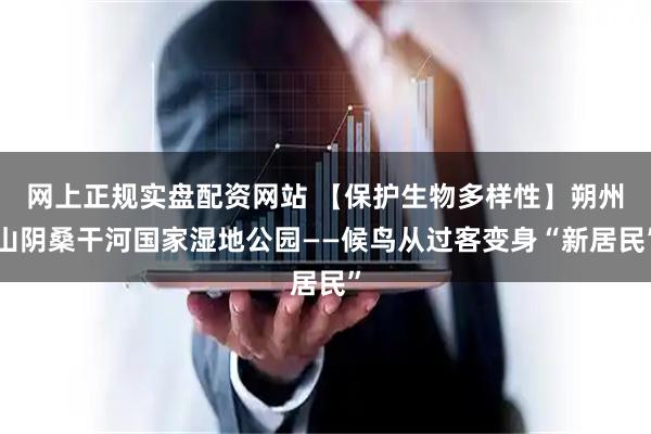网上正规实盘配资网站 【保护生物多样性】朔州山阴桑干河国家湿地公园——候鸟从过客变身“新居民”