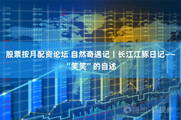 股票按月配资论坛 自然奇遇记丨长江江豚日记——“笑笑”的自述