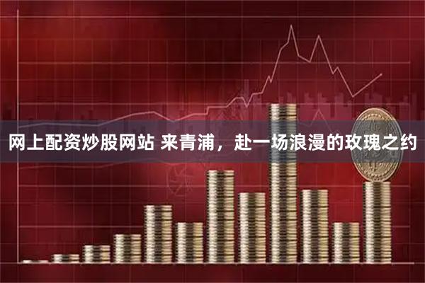 网上配资炒股网站 来青浦，赴一场浪漫的玫瑰之约