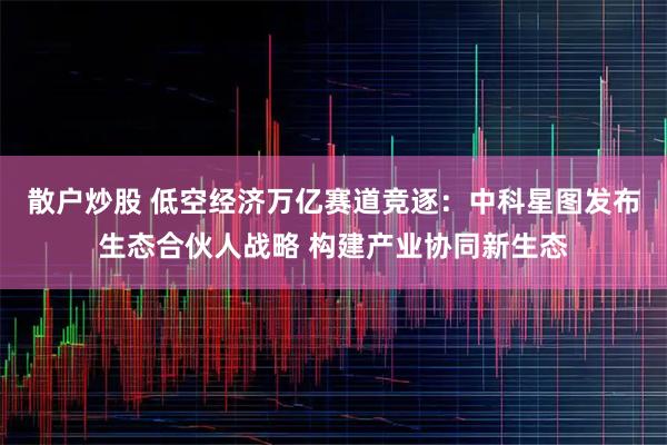 散户炒股 低空经济万亿赛道竞逐：中科星图发布生态合伙人战略 构建产业协同新生态