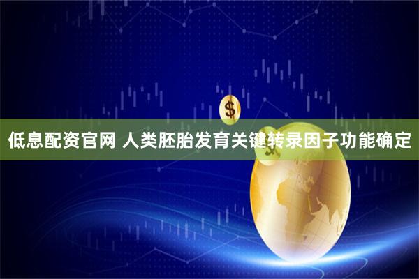 低息配资官网 人类胚胎发育关键转录因子功能确定